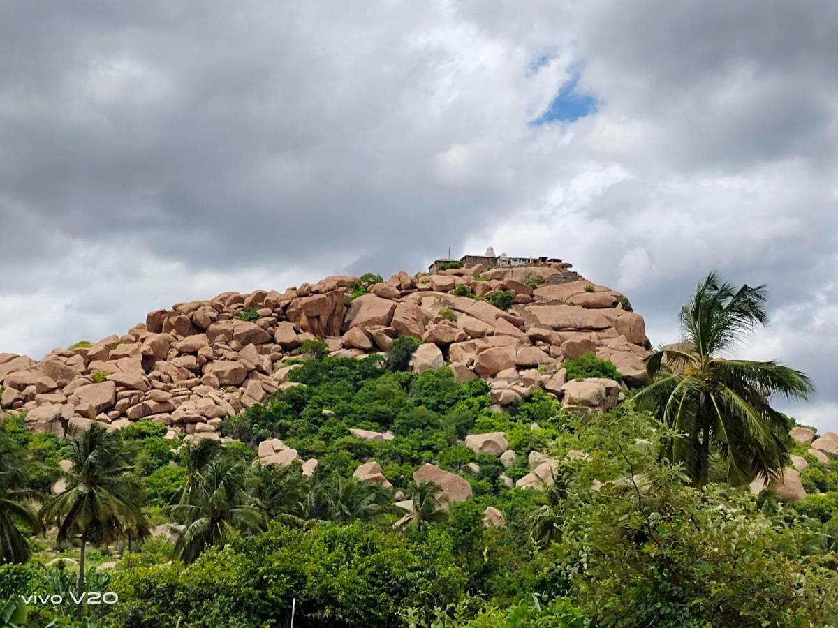 Srinivasa Homestay Хампи Экстерьер фото